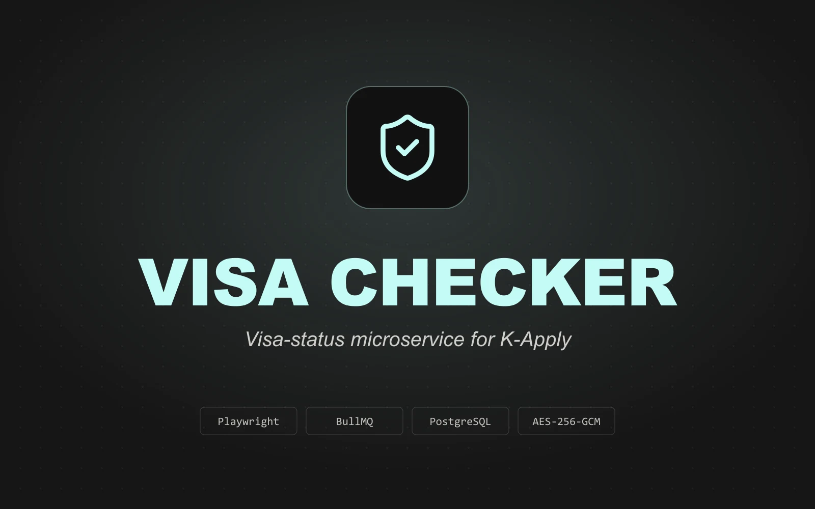 VISA CHECKER cover